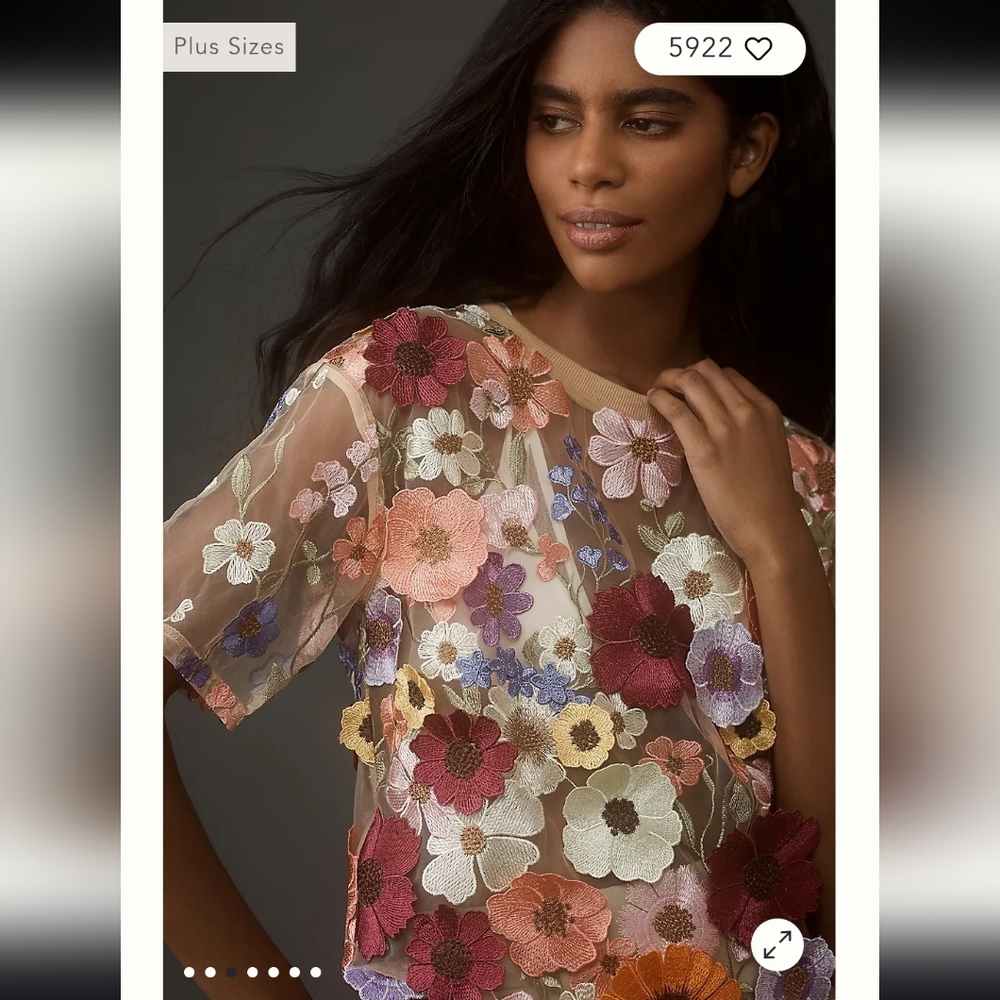 Embroidered Floral Sheer Top - Multicolor